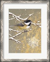 Framed Winter Birds Chickadee Color