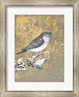 Framed Winter Birds Bluebird Neutral