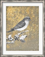 Framed Winter Birds Bluebird Neutral