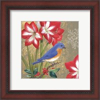 Framed 'Winter Birds Bluebird' border=