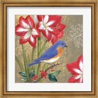 Framed Winter Birds Bluebird