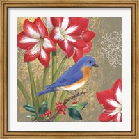 Framed Winter Birds Bluebird