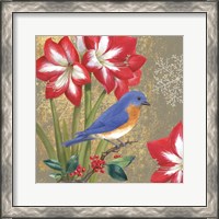 Framed 'Winter Birds Bluebird' border=