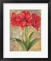 Framed Winter Birds Amaryllis II