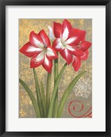 Framed Winter Birds Amaryllis I