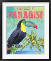 Framed Island Time Toucan II