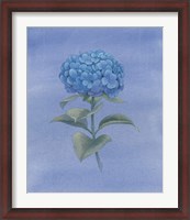 Framed Blue Hydrangea III