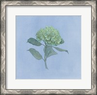 Framed Blue Hydrangea I