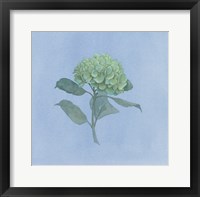 Blue Hydrangea I Framed Print