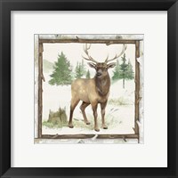 Framed 'Family Cabin I' border=