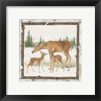 Framed 'Family Cabin II' border=