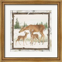 Framed Family Cabin II