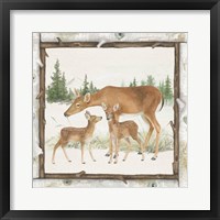 Framed 'Family Cabin II' border=