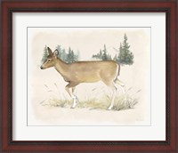 Framed 'Wilderness Collection Deer' border=