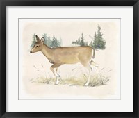 Framed 'Wilderness Collection Deer' border=