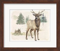 Framed Wilderness Collection Elk