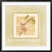 Framed Exotic Floral IV