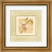 Framed Exotic Floral IV