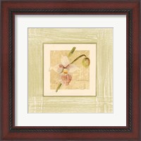 Framed Exotic Floral IV