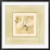 Framed Exotic Floral III