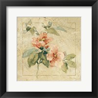 Provence Rose I Framed Print