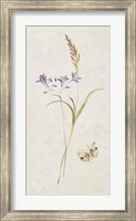 Framed Wild Wallflowers III