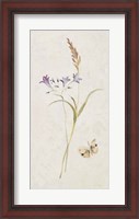 Framed Wild Wallflowers III