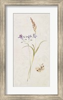 Framed Wild Wallflowers III