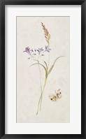 Wild Wallflowers III Framed Print