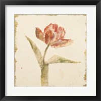 Framed 'Vintage Flaming Parrot Tulip Crop' border=