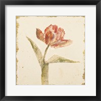 Framed 'Vintage Flaming Parrot Tulip Crop' border=