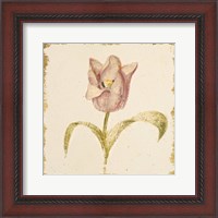 Framed Vintage Blue Parrot Tulip Crop