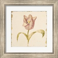 Framed Vintage Blue Parrot Tulip Crop