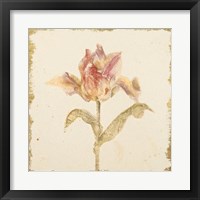 Framed 'Vintage Zoomer Schoon Tulip Crop' border=