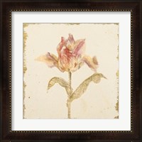 Framed 'Vintage Zoomer Schoon Tulip Crop' border=