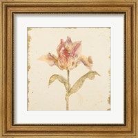 Framed Vintage Zoomer Schoon Tulip Crop