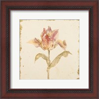 Framed Vintage Zoomer Schoon Tulip Crop