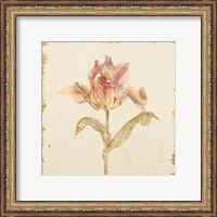 Framed 'Vintage Zoomer Schoon Tulip Crop' border=