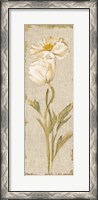 Framed Cosmo Panel on White Vintage