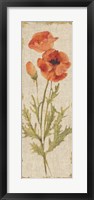 Framed Poppy Panel on White Vintage