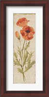 Framed Poppy Panel on White Vintage