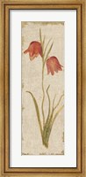 Framed Red Tulip Panel on White Vintage