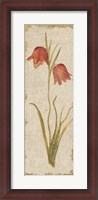 Framed Red Tulip Panel on White Vintage