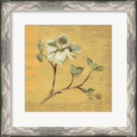 Framed Dogwood Blossom on Gold