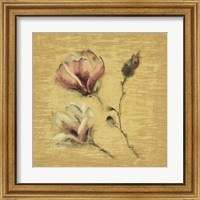 Framed 'Magnolia Blossom on Gold' border=