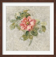 Framed Provence Rose II Red and Neutral