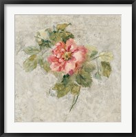 Framed Provence Rose II Red and Neutral