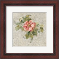 Framed Provence Rose II Red and Neutral