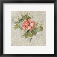 Provence Rose II Red and Neutral Framed Print