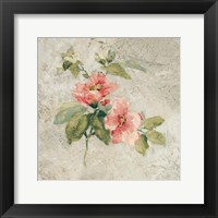 Provence Rose I Red and Neutral Framed Print